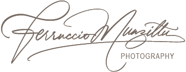 Sito web ufficiale di Ferruccio Munzittu
